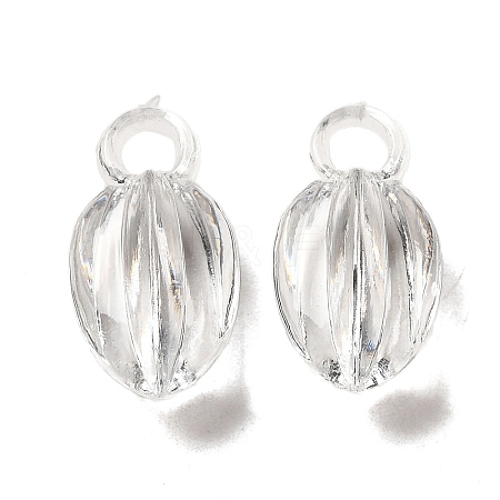 Transparent Acrylic Pendants TACR-G048-39-1