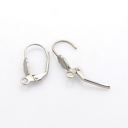 Tarnish Resistant 304 Stainless Steel Leverback Earring Findings STAS-N036-02-1