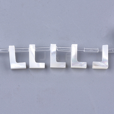 Sea Shell Beads LS-X-SHEL-T012-60L-1