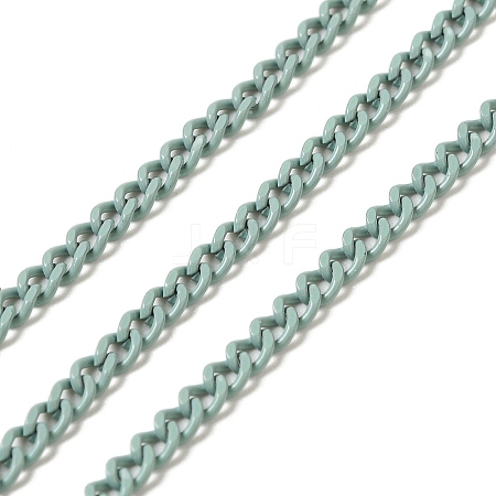 Spray Painted 304 Stainless Steel Curb Chains STAS-B067-05A-01-1
