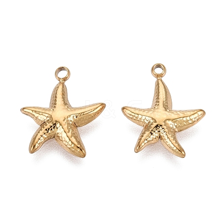 304 Stainless Steel Charms STAS-N125-24A-G-1