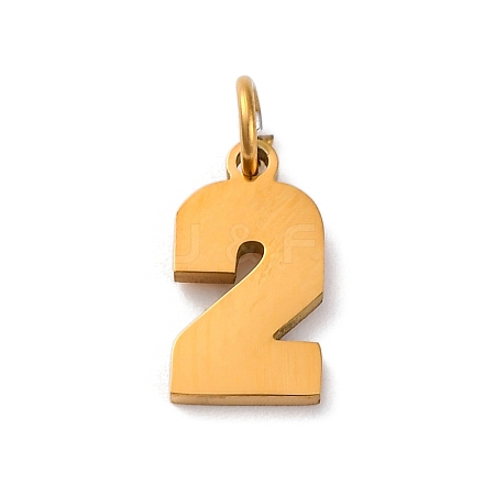 304 Stainless Steel Charms STAS-A106-01G-02-1