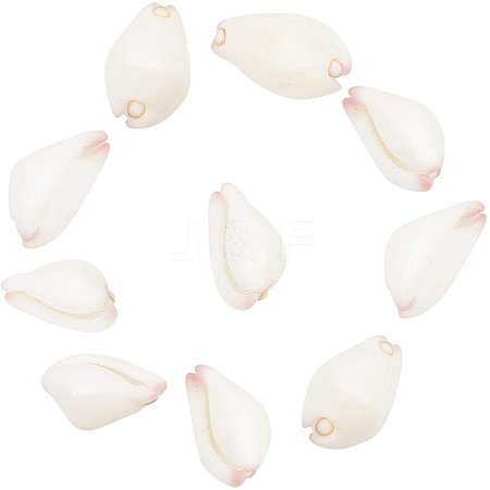 Natural Cowrie Shell Beads SSHEL-NB0001-09-1