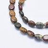 Natural Polychrome Jasper/Picasso Stone/Picasso Jasper Beads Strands G-E444-46B-4