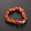 Chips Natural Carnelian Beaded Stretch Bracelets X-BJEW-JB01826-04-1