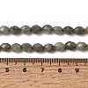 Natural Labradorite Beads Strands G-K376-F07-01-5