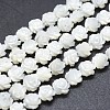 Natural White Shell Beads Strands SSHEL-P015-01A-6mm-1