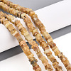 Natural Yellow Opal Beads Strands G-T140-49B-1