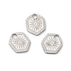 Non-Tarnish 316L Surgical Stainless Steel Charms STAS-H213-52P-3