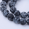 Natural Snowflake Obsidian Beads Strands X-G-Q462-8mm-10-1
