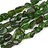 Natural Green Diopside Beads Strands G-G464-A01-01-2