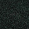 MIYUKI Round Rocailles Beads SEED-X0055-RR0156-2