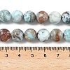 Natural Larimar Beads Strands G-C264-A01-10mm-5