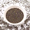 MIYUKI Delica Beads SEED-MY11-DB0023-2