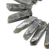 Natural Labradorite Beads Strands G-R419-03-1