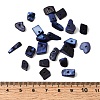 Dyed Natural Freshwater Shell Chips Beads SHEL-O001-12C-4