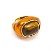 Oval 304 Stainless Steel with Natural Tiger Eye Finger Rings FS-WGC5475-02-2