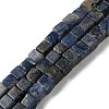 Natural Sodalite Beads Strands G-C084-E06-02-1