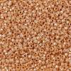 MIYUKI Round Rocailles Beads SEED-JP0009-RR0580-3