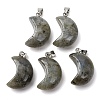 Natural Labradorite Pendants G-F820-02C-01-1