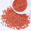 Baking Paint Cylinder Seed Beads SEED-Q036-02A-D13-1