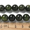 Natural Green Diopside Beads Strands G-K382-B01-03-5