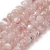 Natural White Shell Dyed Beads Strands BSHE-Z005-03D-1