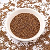MIYUKI Delica Beads X-SEED-J020-DB0505-2