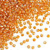 Picasso Baking Paint Glass Seed Beads SEED-TA0001-62C-2