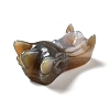 Natural Brazilian Agate Display Decorations DJEW-A008-05-4