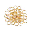 Iron Jump Rings IFIN-CJC0001-02B-G-1