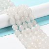 Natural White Jade Beads Strands X-G-E614-B01-08-1