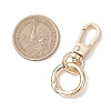Alloy Swivel Clasps KEYC-JKC01459-2
