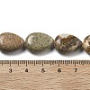 Natural Picture Jasper Beads Strands G-P528-L24-01-5