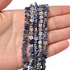 Natural Sodalite Beads Strands G-F817-A08-01-2
