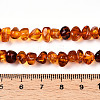 Natural Amber Beads Strands G-T138-235C-4