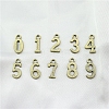 Alloy Pendants PALLOY-WH0079-83AB-RS-1