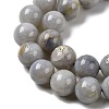 Natural Gemstone Beads Strands G-L641-A01-03-4