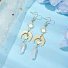 Rough Natural Quartz Crystal Dangle Earrings EJEW-JE05877-02-4