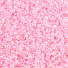 12/0 Glass Seed Beads SDB210-1