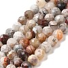 Natural Mexican Agate Bead Strands G-E608-A11-C-1