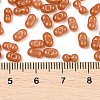 Baking Paint Glass Seed Beads SEED-L011-09A-25-4