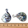 Natural Paua Shell Pendants Geometric Charms SSHEL-N038-01D-3