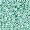 12/0 Glass Seed Beads SEED-S060-A-F408-01-3