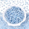 Transparent Spray Painted Glass Seed Beads SEED-L011-10A-17-2