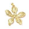 Rack Plating Brass & Cubic Zirconia Pendants KK-L216-068G-1