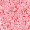 Baking Paint Transparent Glass Beads DGLA-T004-06G-2