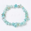 Natural Amazonite Stretch Bracelets BJEW-JB03681-06-7