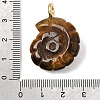 Natural Tiger Eye Carved Pendants G-C282-01O-3