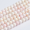 Natural Pink Shell Beads Strands SSHEL-L016-18A-1